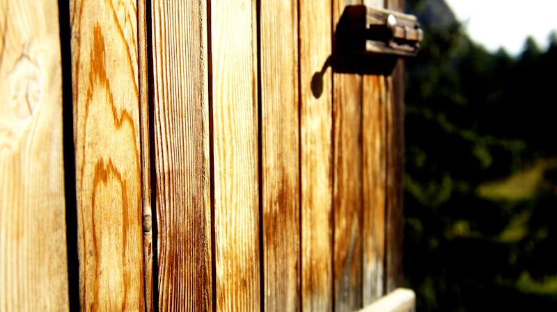 Patient discussing oral health and wellness with dentist